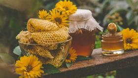 В России разработали первый ГОСТ по выявлению поддельного мёда